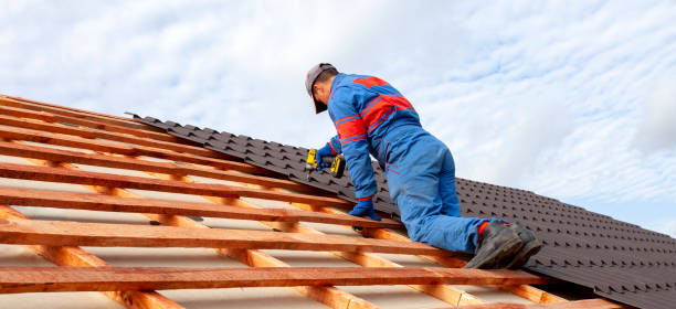 Best Roof Moss and Algae Removal  in Manchester, NH